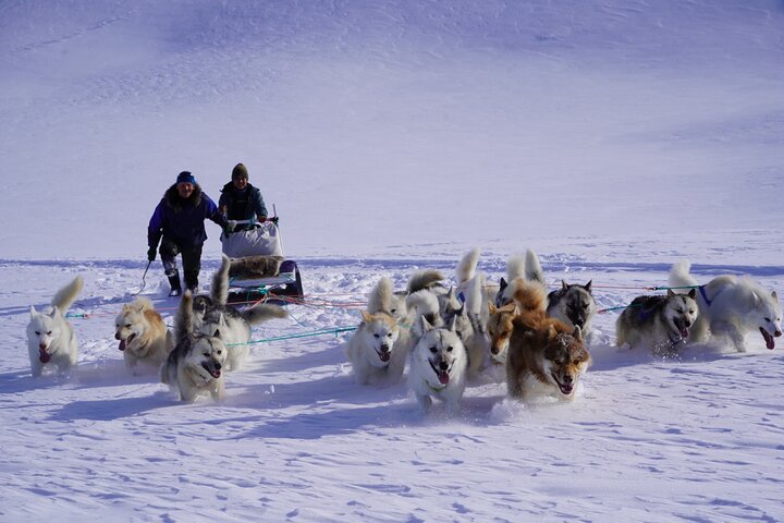 그린란드여행 관련사진
