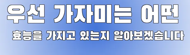우선 가자미는 어떤 효능을 가지고 있는지 알아보겠습니다