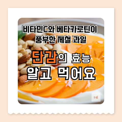 가을 제철 과일 단감 효능 총정리 면역력과 피로 회복에 좋은 이유