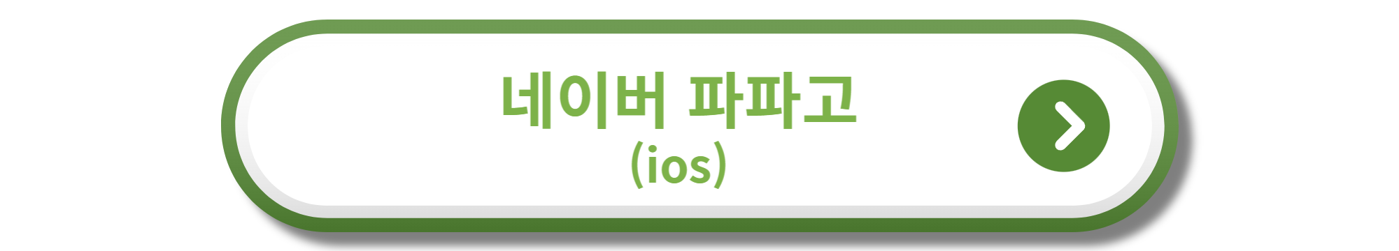 네이버 파파고 ios