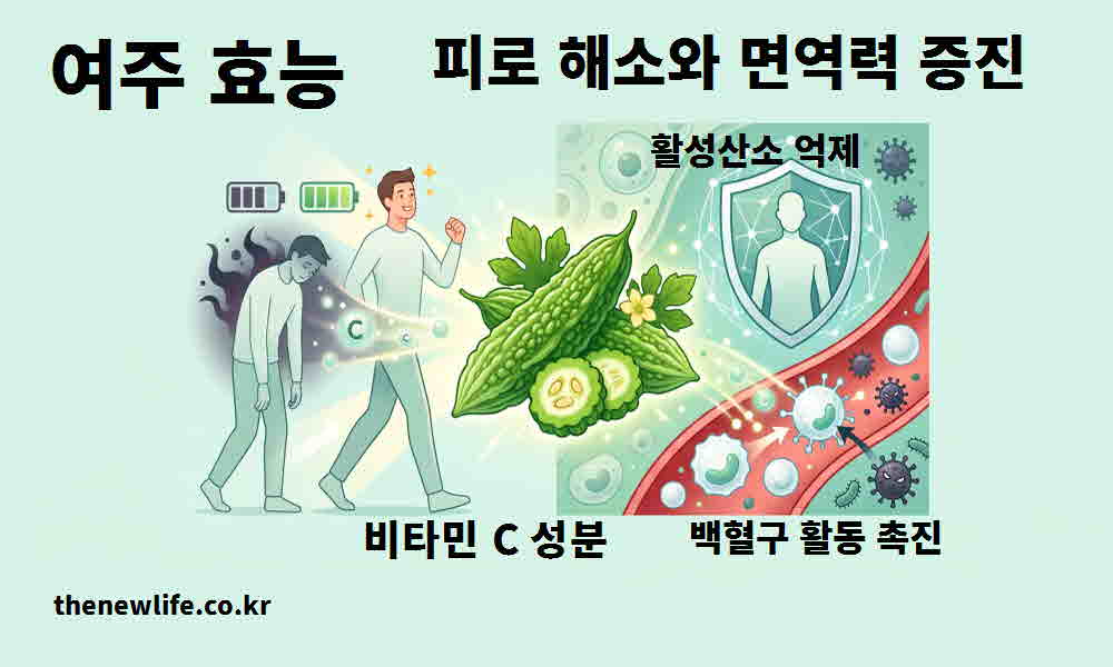 여주 효능 피로 해소 면역력 증진