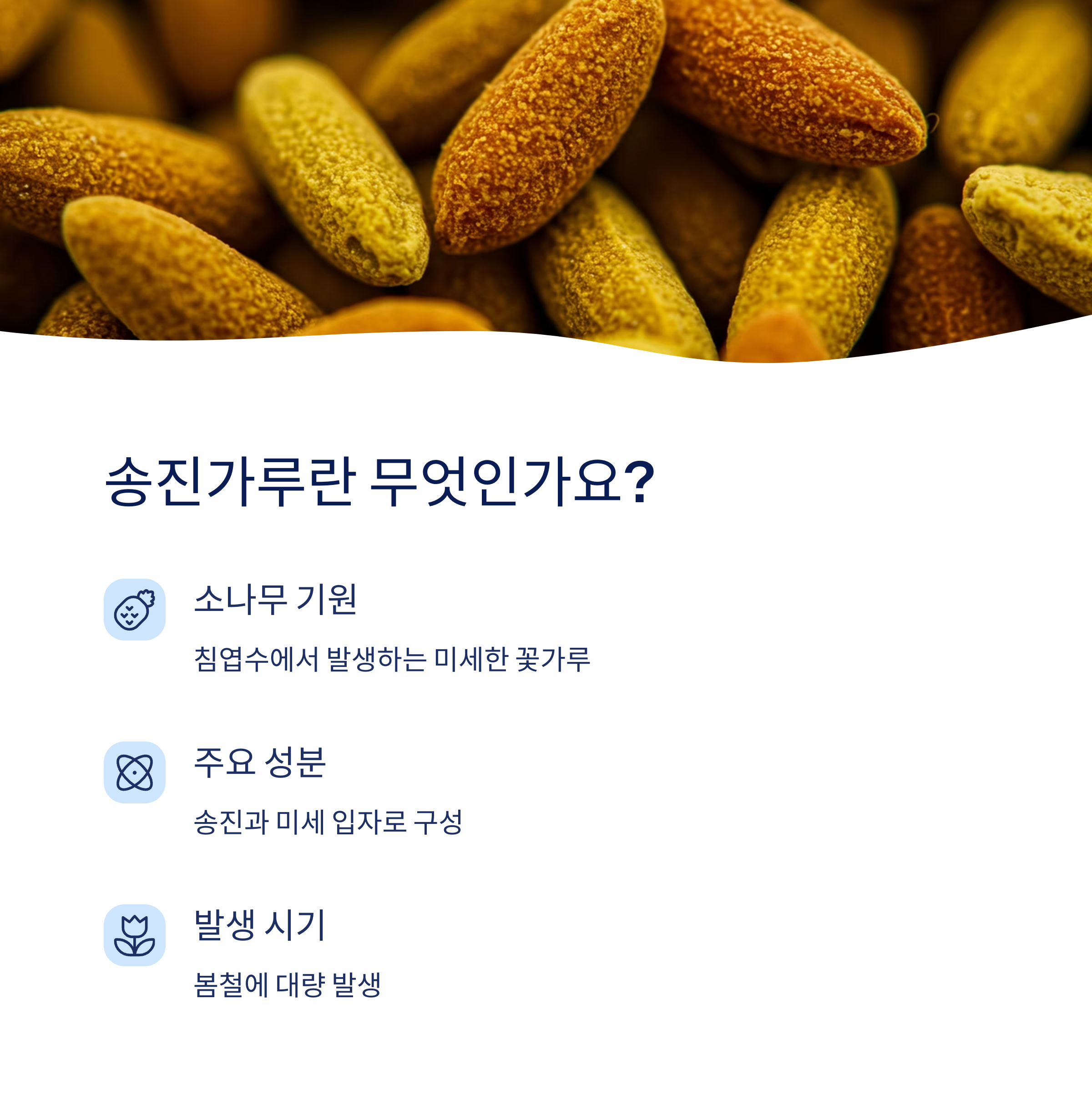 송진가루란 무엇인가요?