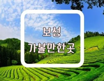 보성 가볼만한곳 베스트10 현지인 추천 필수코스_9