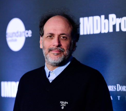 루카 구아다니노 감독