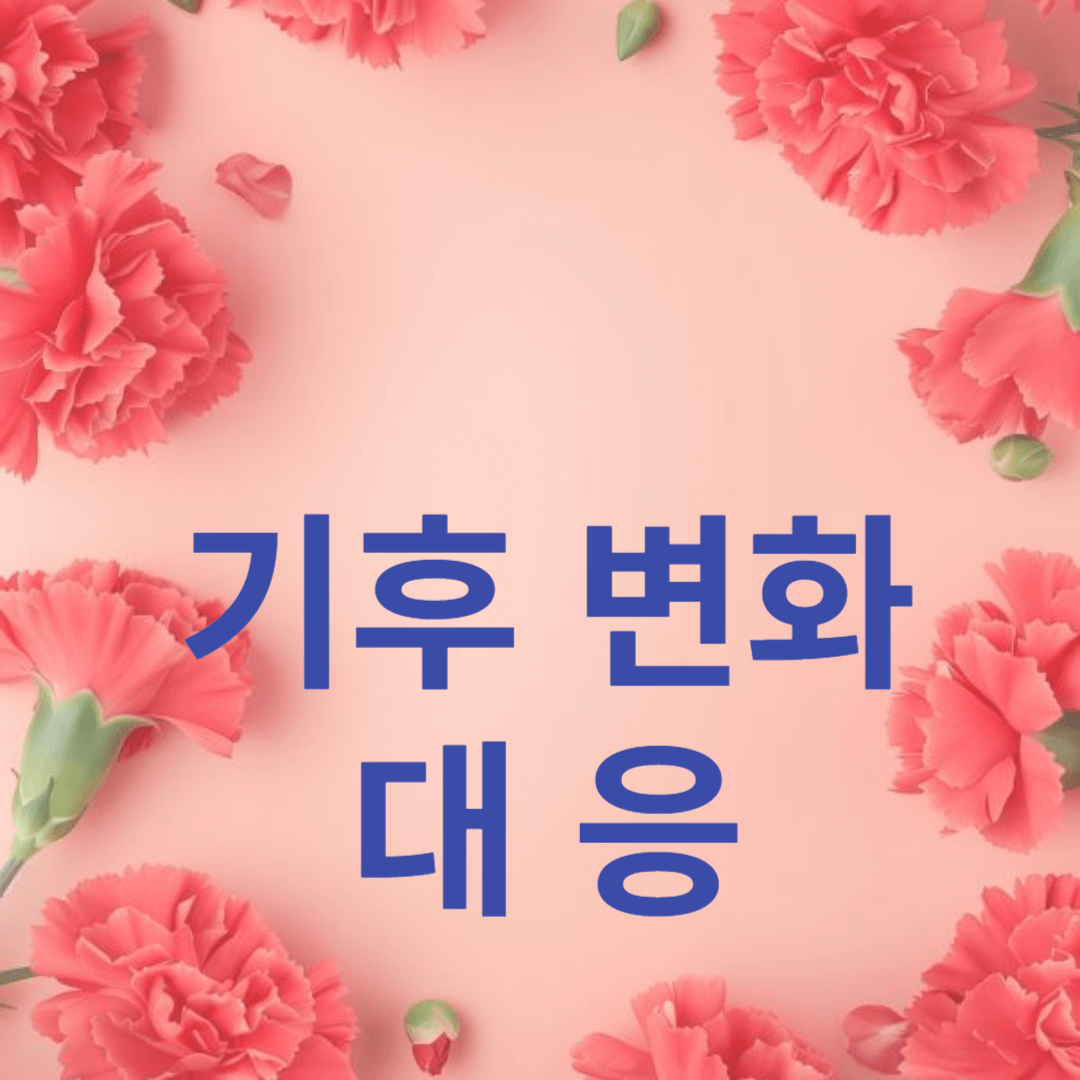 기후 변화 대응: 개인이 할 수 있는 작은 실천들
