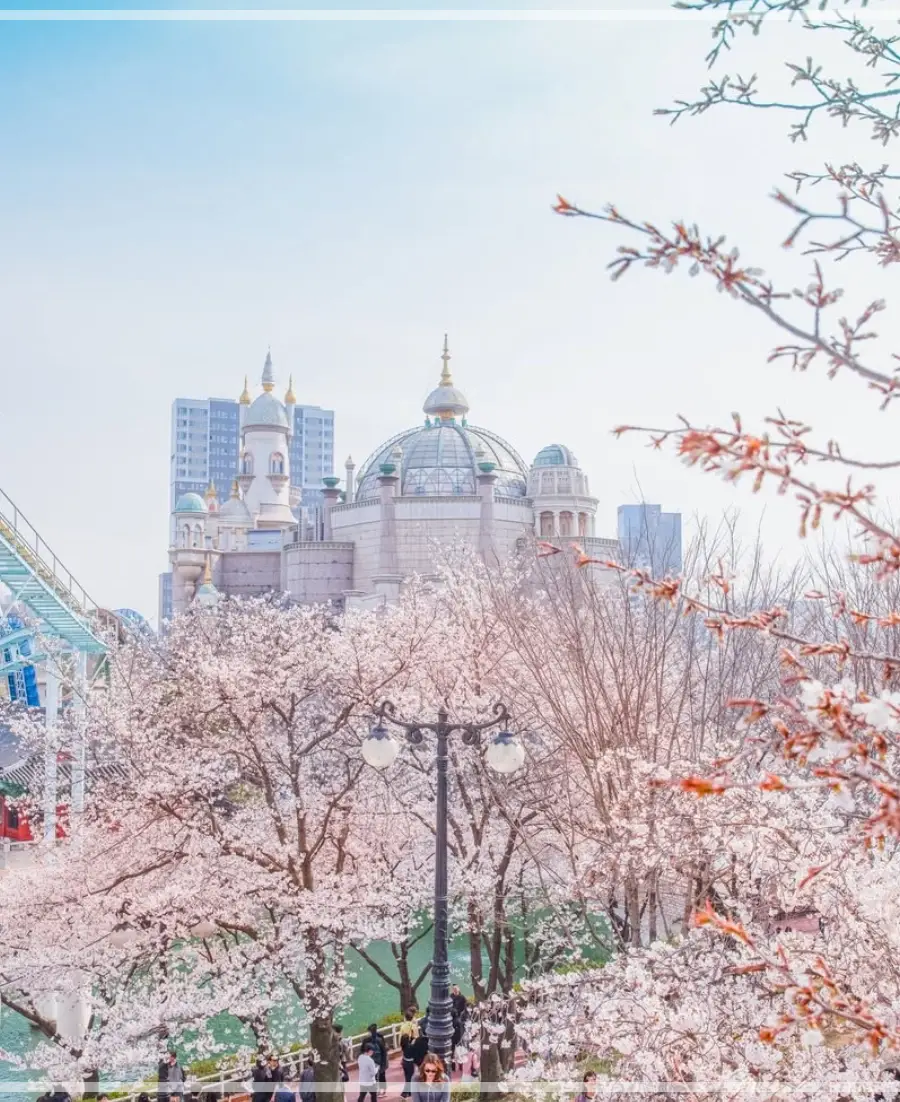 롯데월드-입장료-자유이용권-가격-할인-운영시간