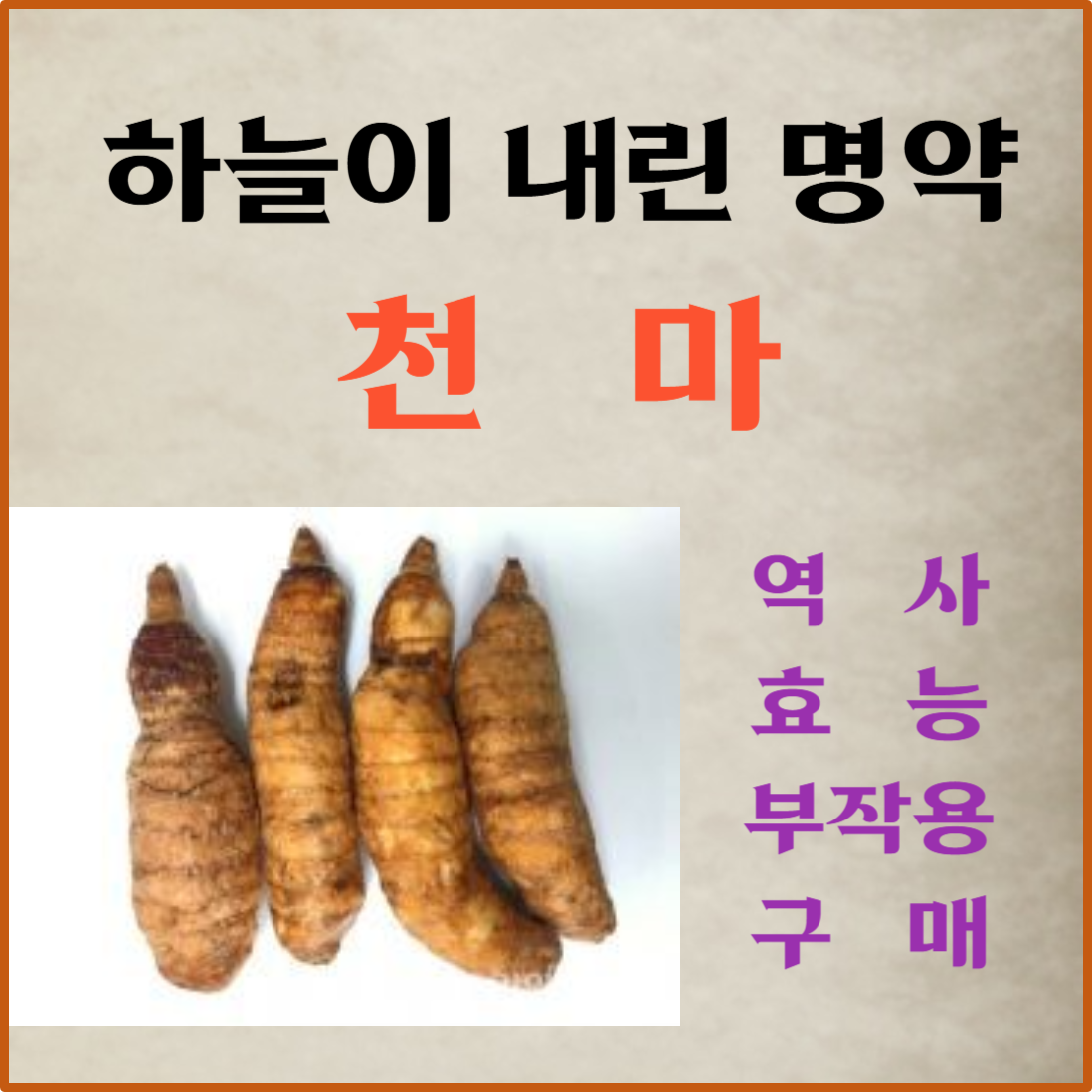 천마의 역사