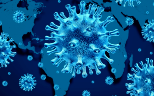 편평사마귀 실비보험