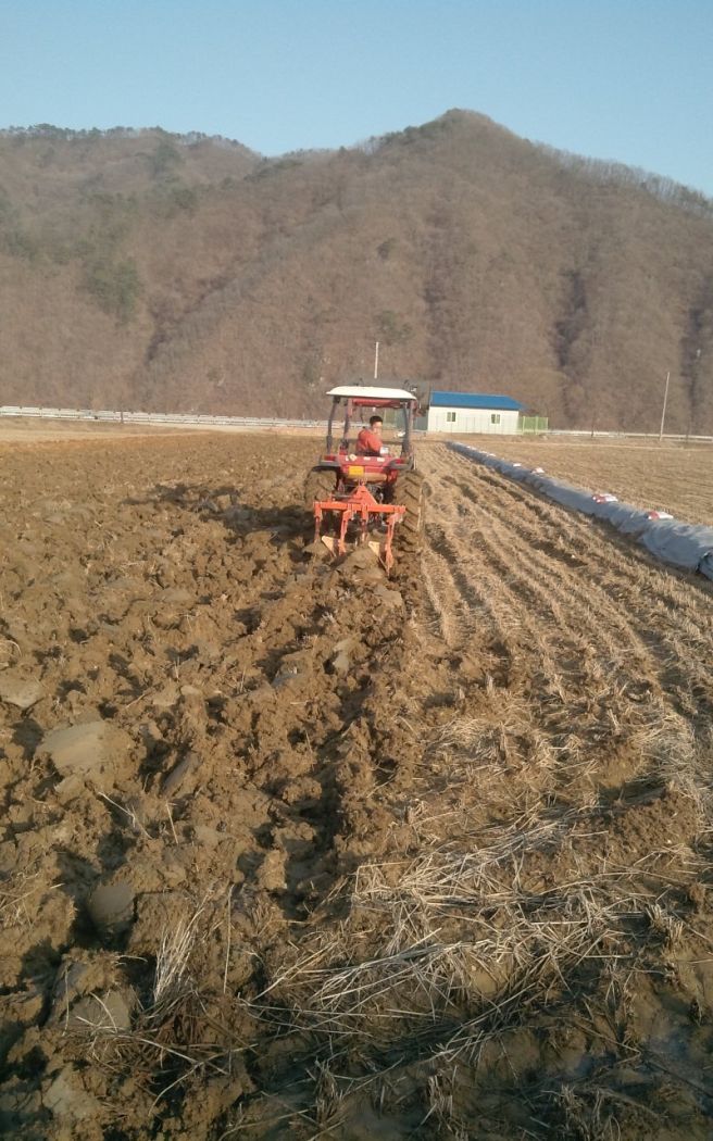 공익직불금 신청