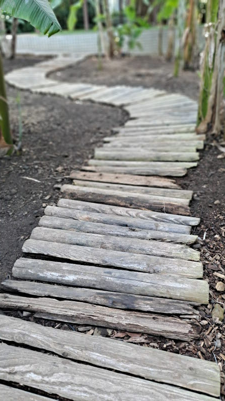 제주여행_여미지식물원