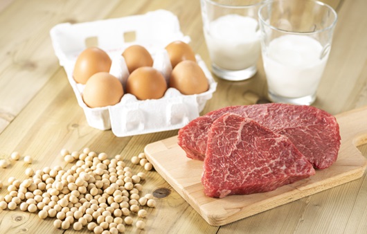 카테고리별 GI지수 정리표 단백질