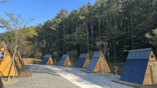 동탄 무봉산 자연휴양림 시설정보 예약방법 및 요금 할인