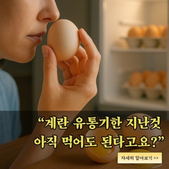 계란 유통기한 지난 후 먹어도 될까?