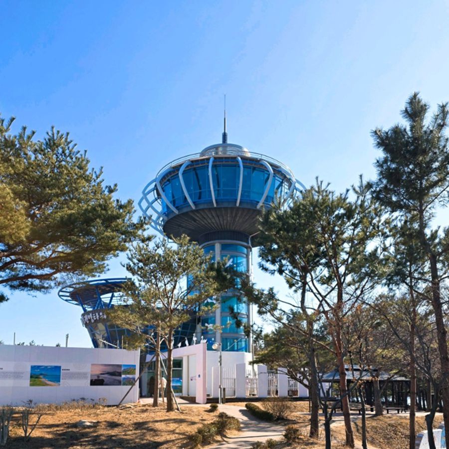 송지호관망타워