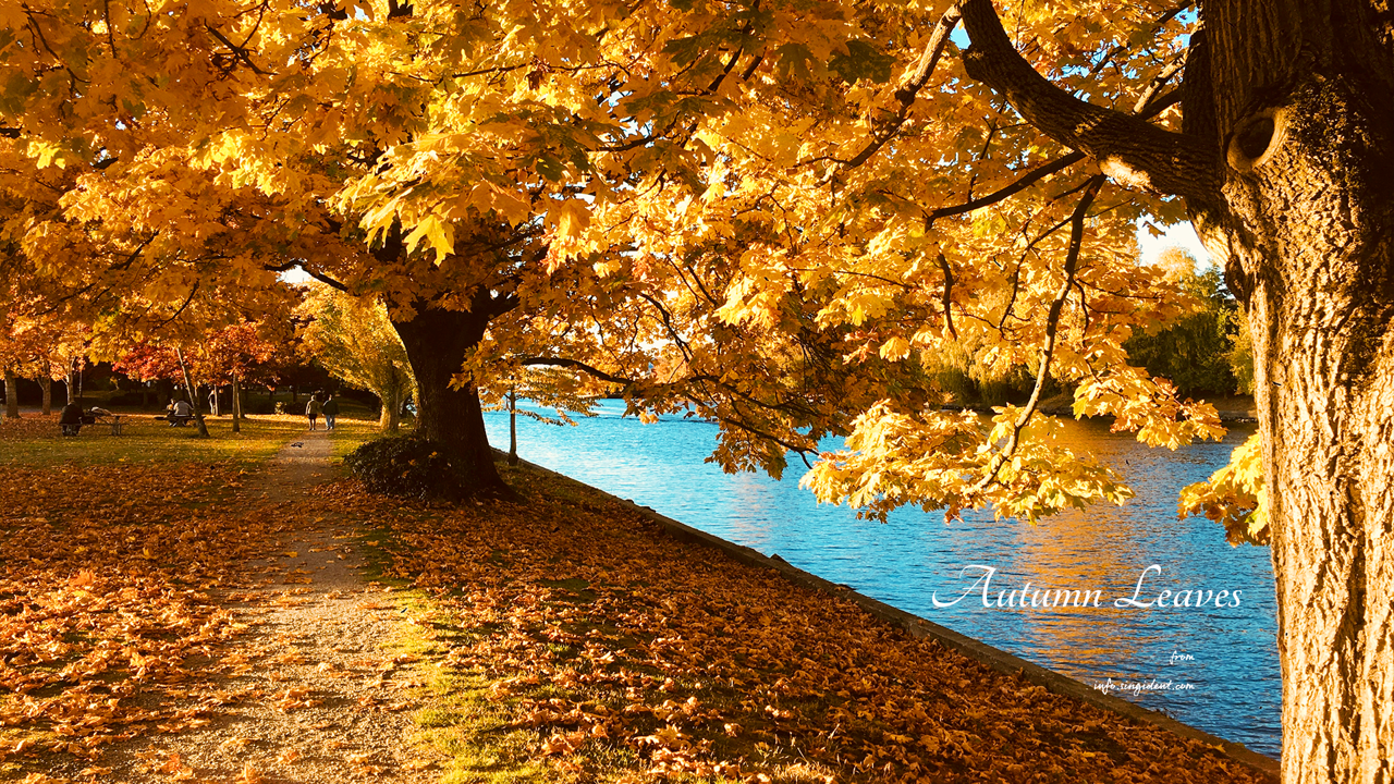 06 호숫가 단풍 C - Autumn Leaves 단풍배경화면