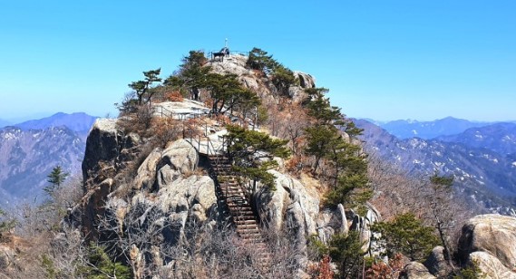 대야산 자연휴양림