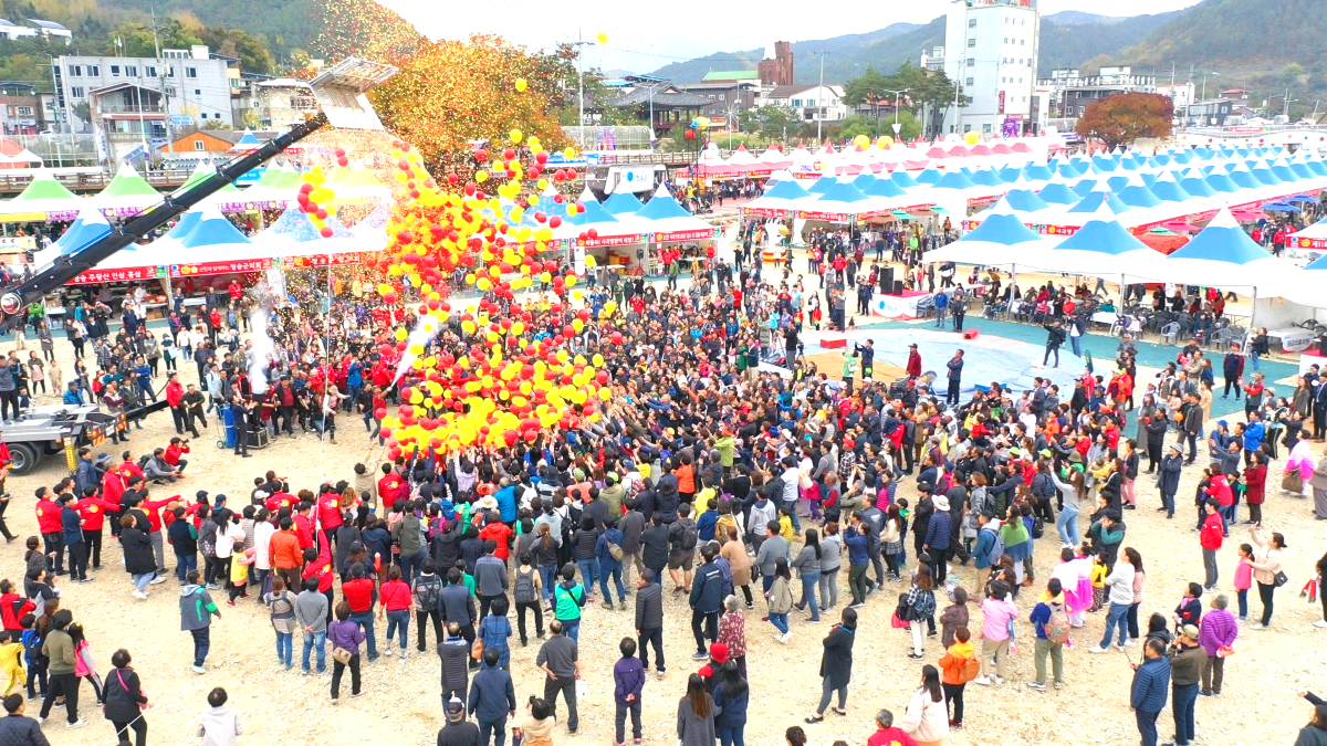 청송사과축제