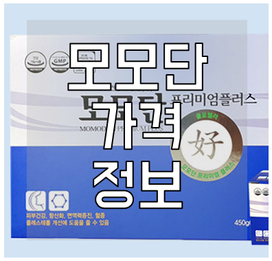 모모단-가격-정보