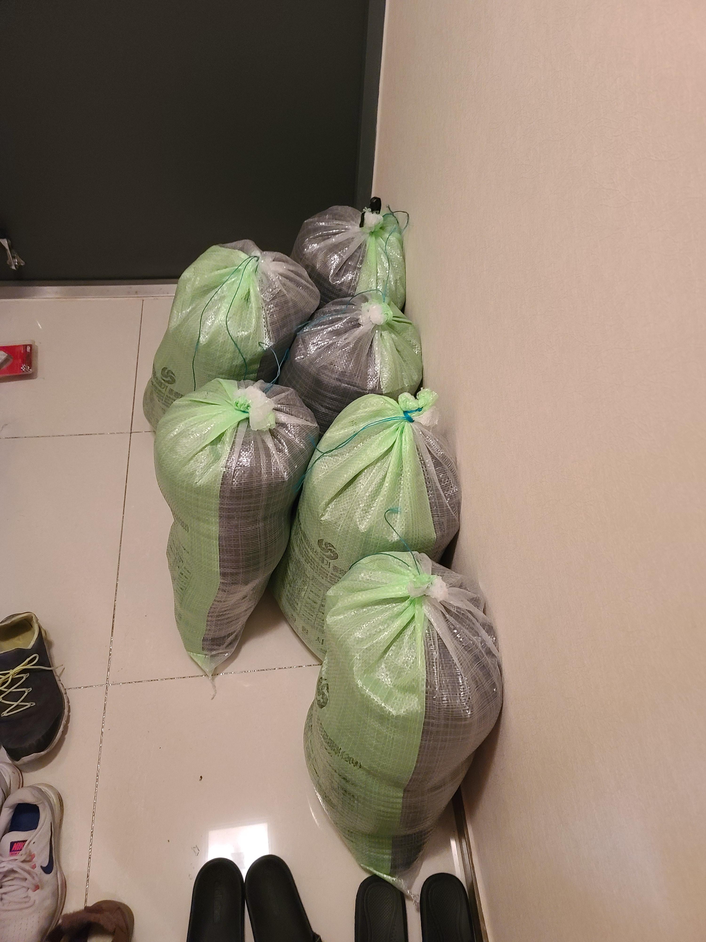 고양이 화장실 모래 전체갈이. 