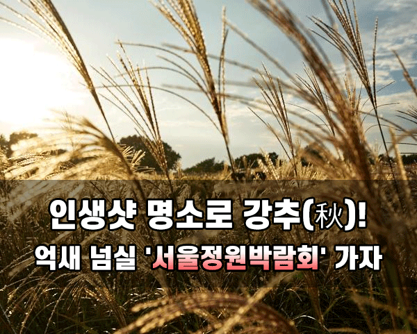 타이틀