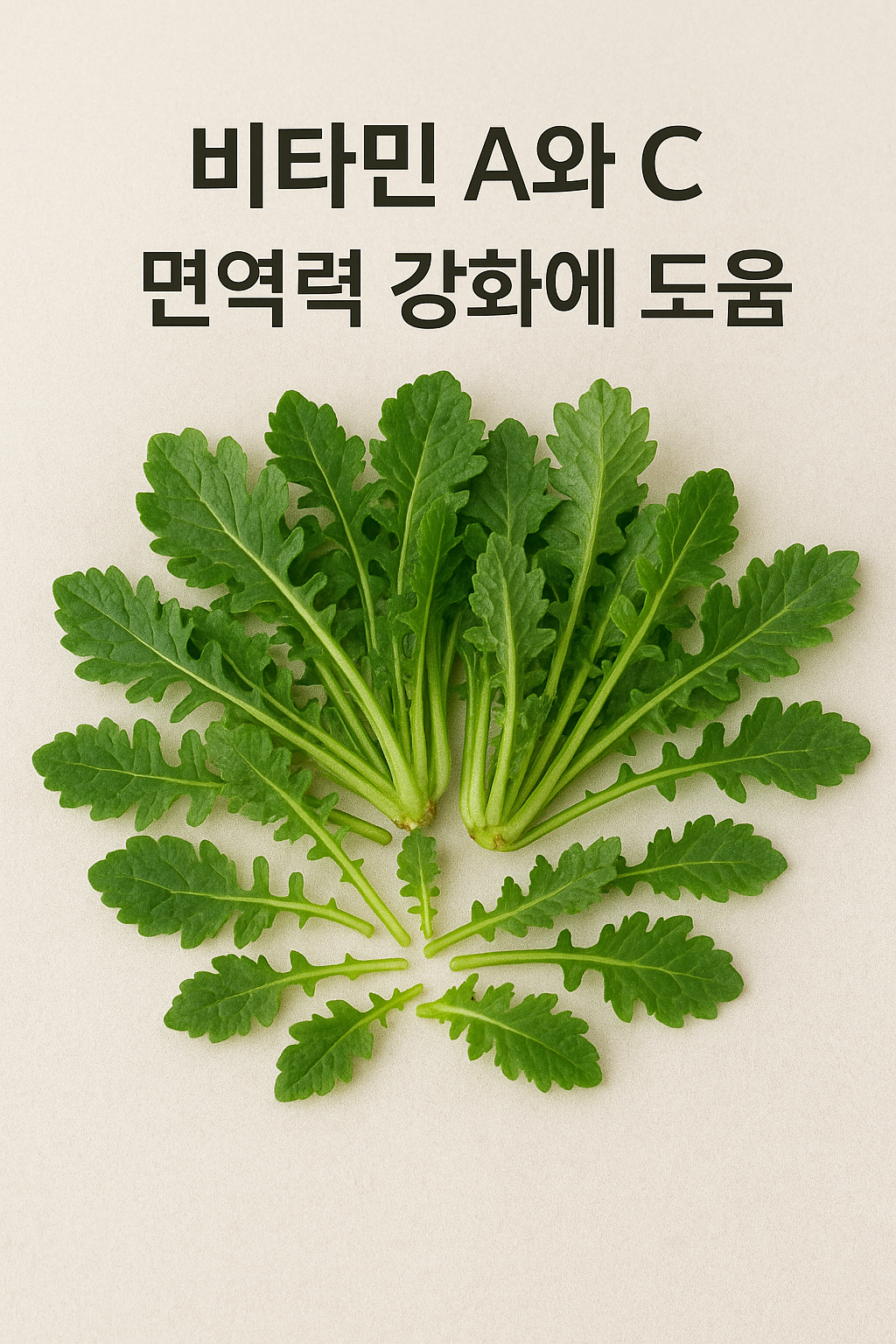 냉이 효능