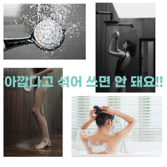 녹농균-감염