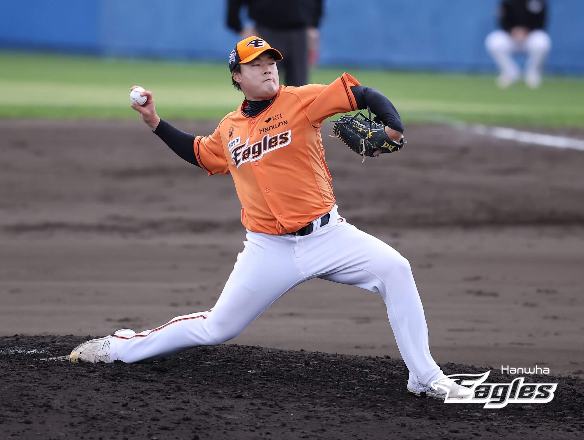 2024 한화 이글스 티켓 할인 예매&amp;#44; 무료 주차&amp;#44; 좌석 종류 및 특징&amp;#44; 경기일정 및 결과