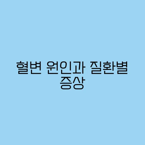 혈변 원인과 질환별 증상