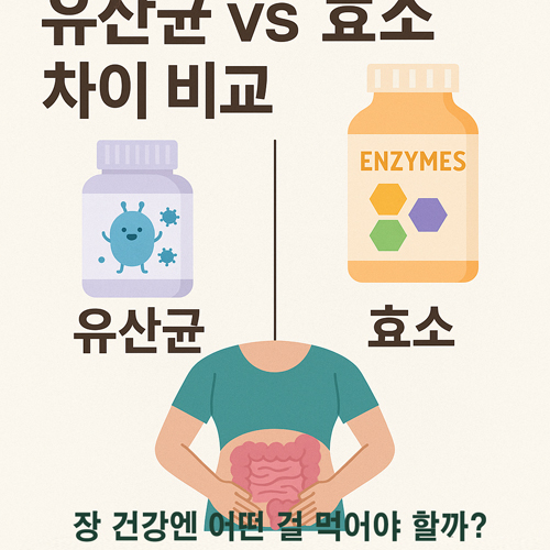 유산균 vs 효소 차이 비교 | 장 건강엔 어떤 걸 먹어야 할까?