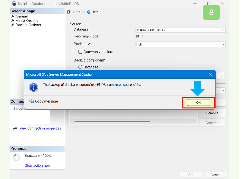 파일 백업 성공을 확인하세요.