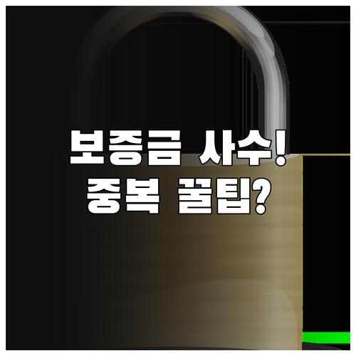 전세보증 상품 선택 가이드 공적 보증..