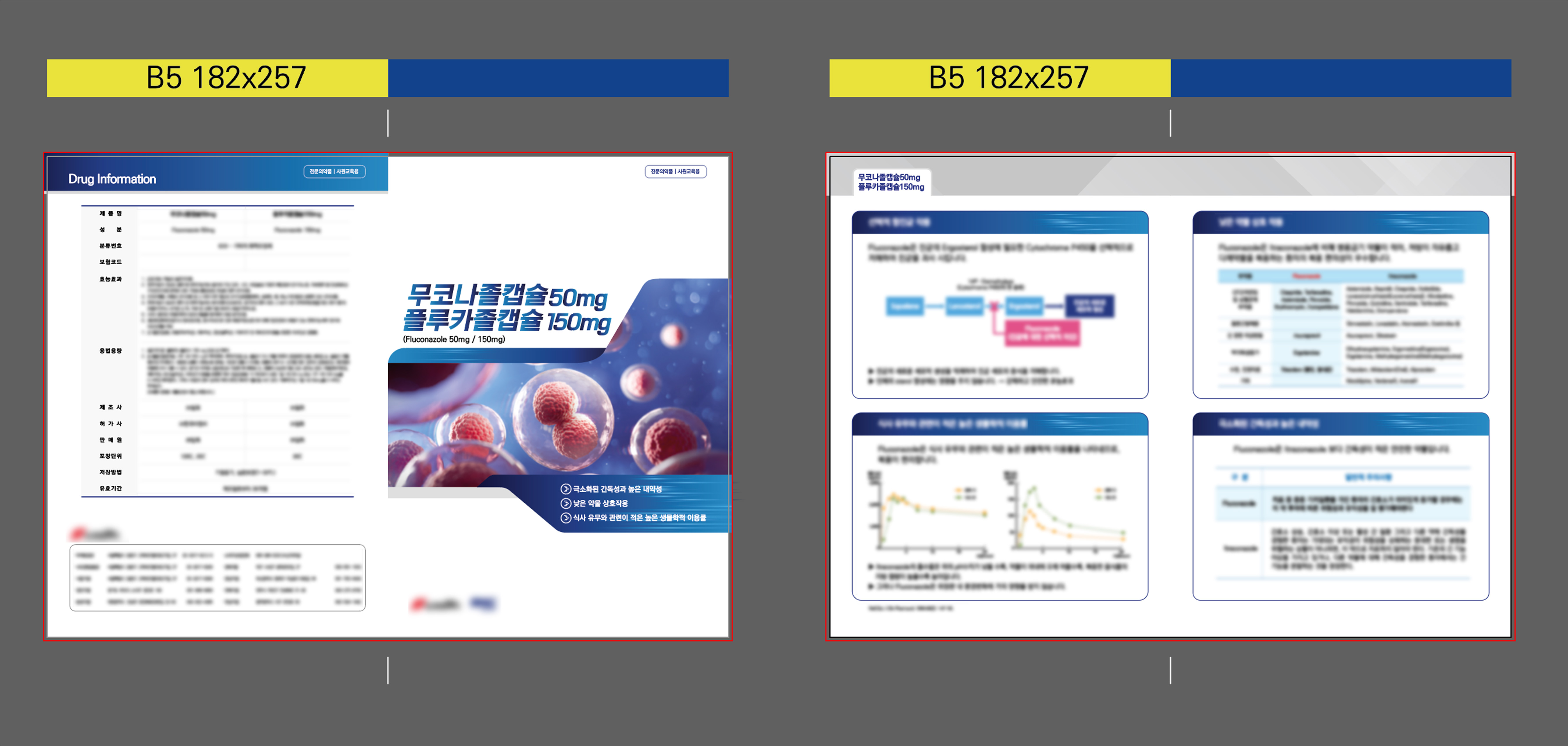 브로슈어디자인 실제 시안 모습