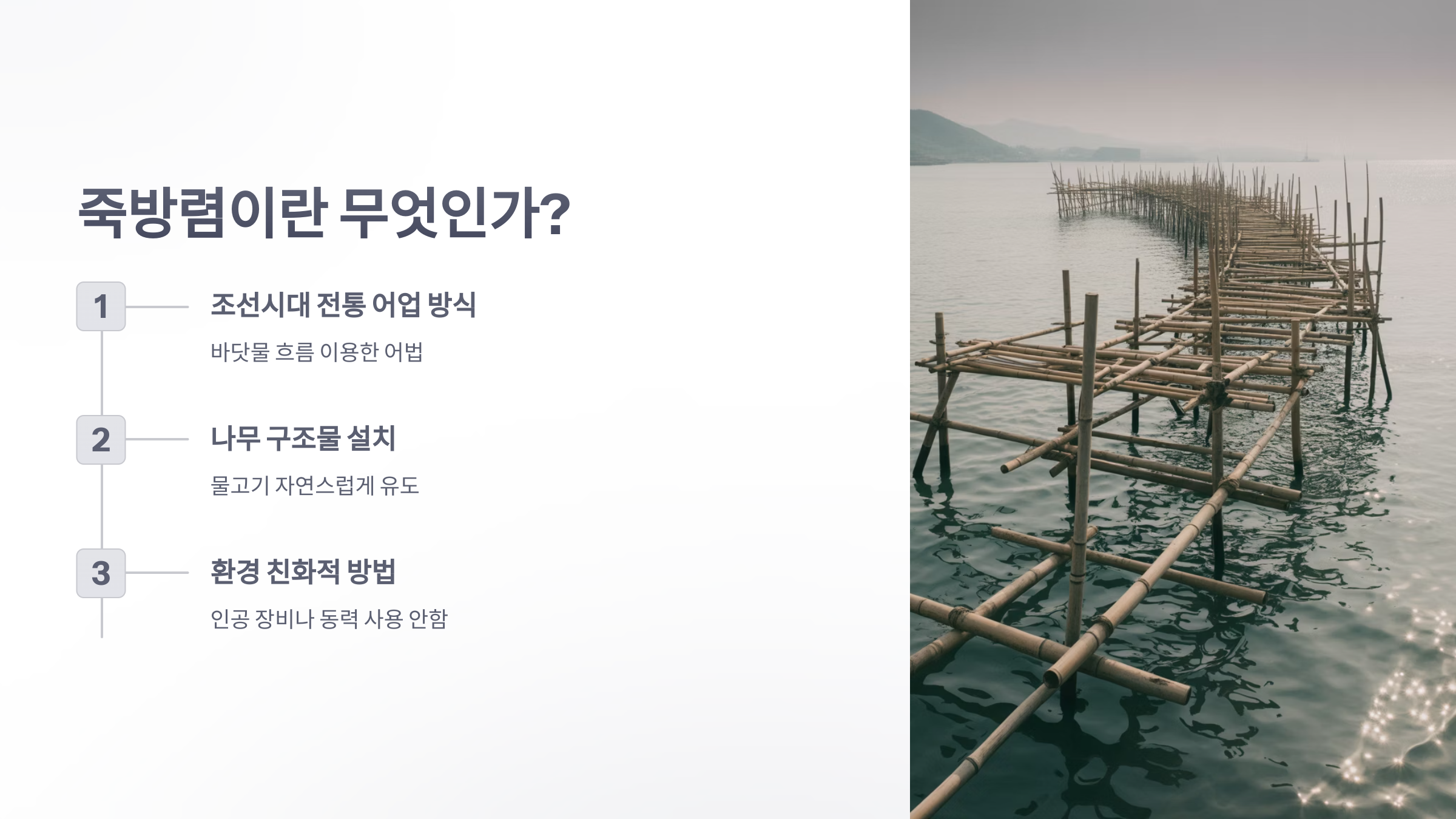 참조-남해-죽방렴-해산물-2