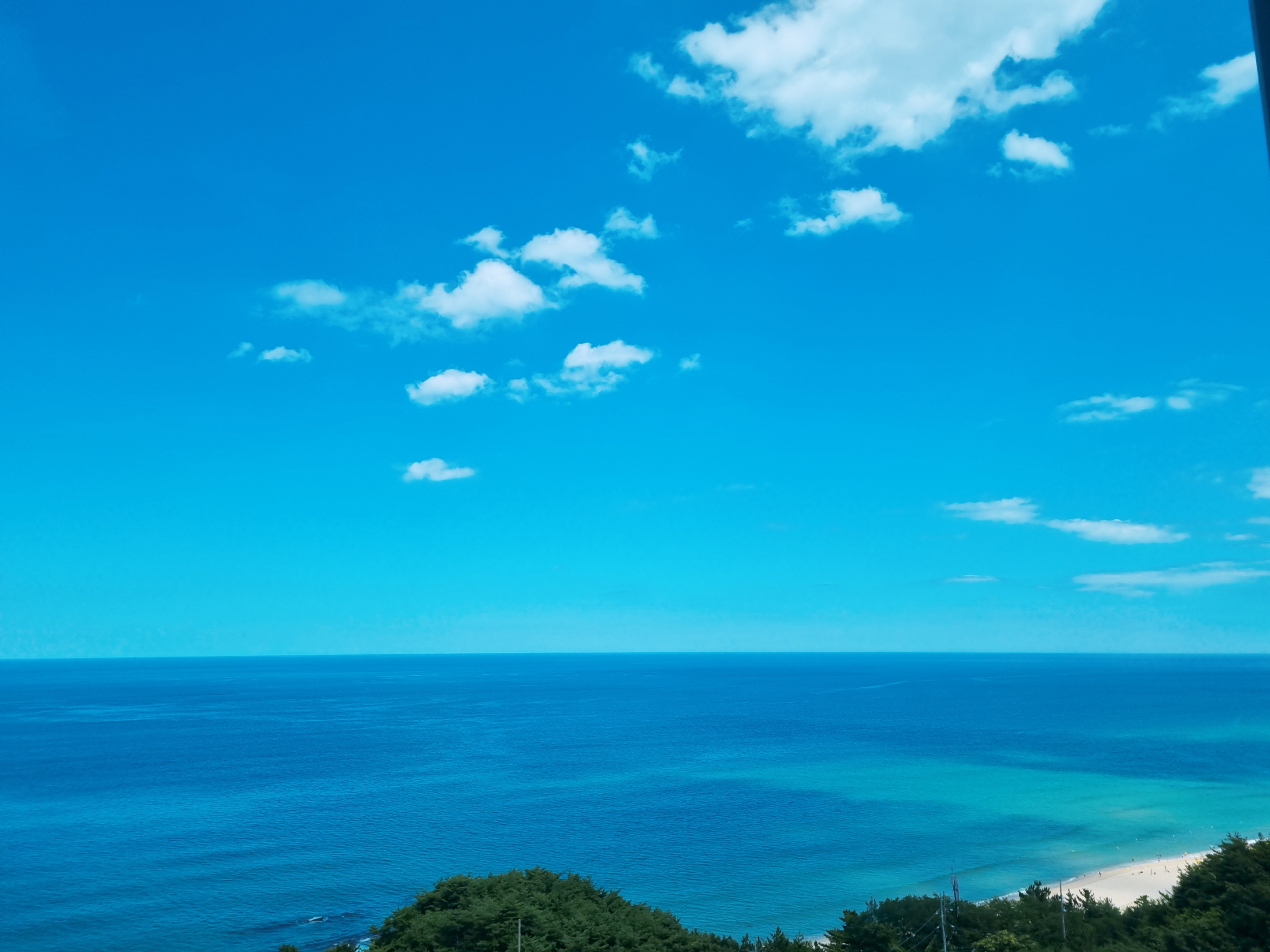 하슬라아트월드