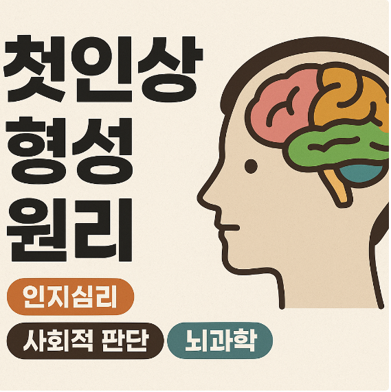 첫인상 형성 원리 (인지심리, 사회적 판단, 뇌과학)