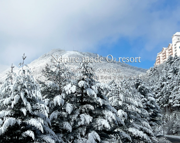 오투리조트 스키장 2425 시즌 개장 오픈 리프트권 무료 이벤트 및 운영 정보 총정리