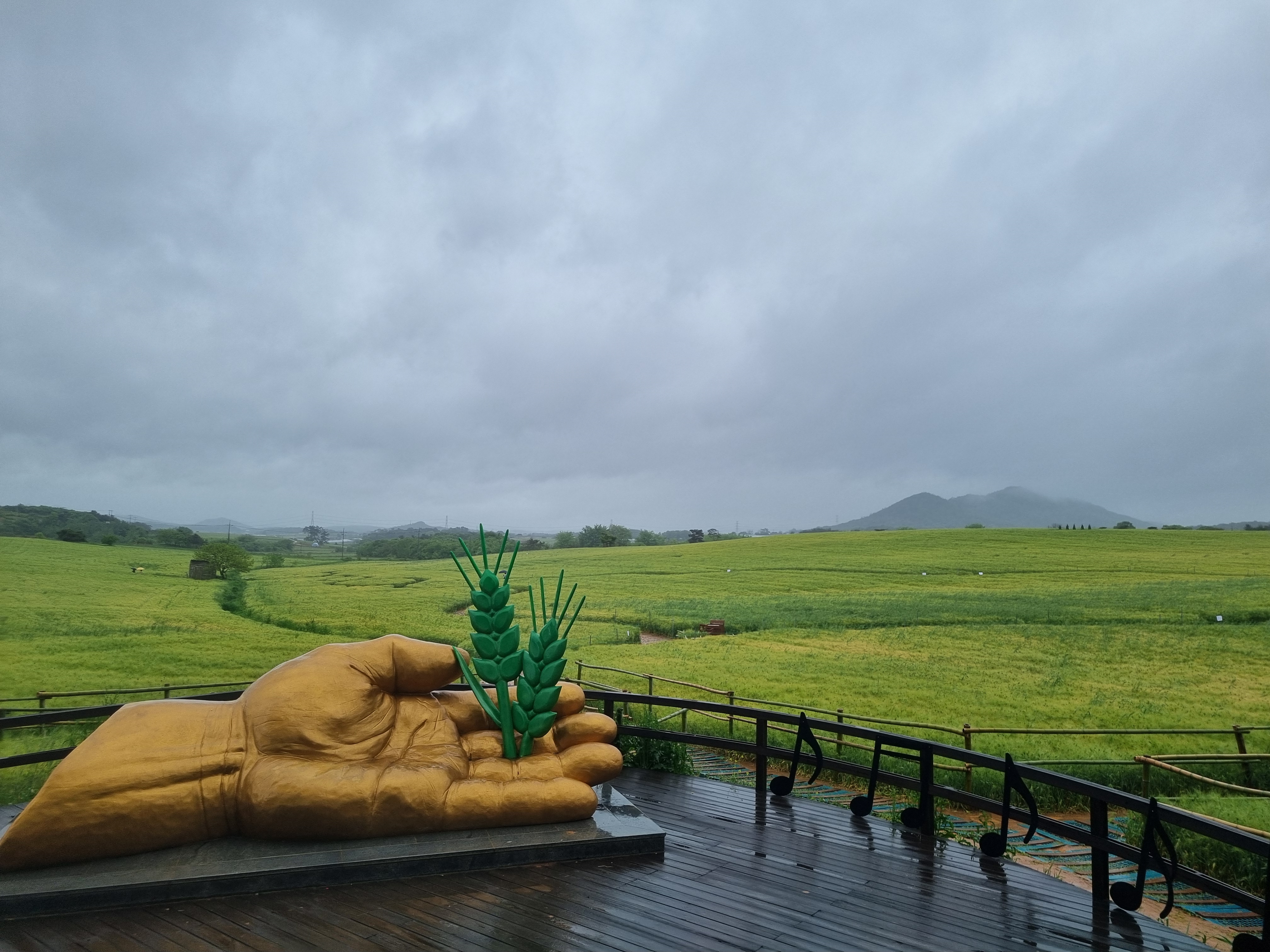 고창 청보리밭축제