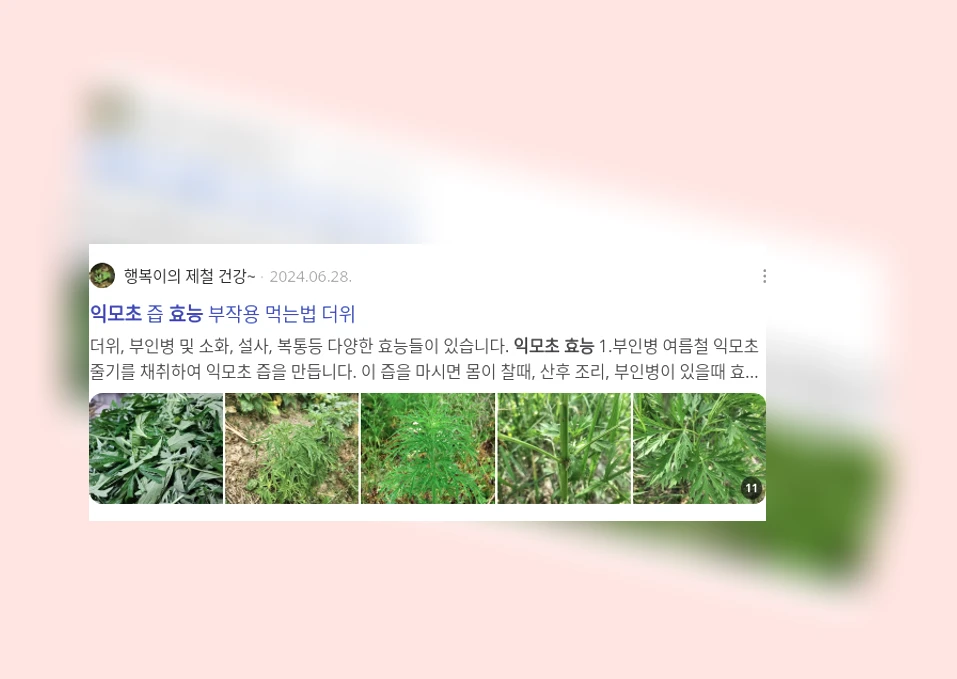 익모초 효능_3_subsection