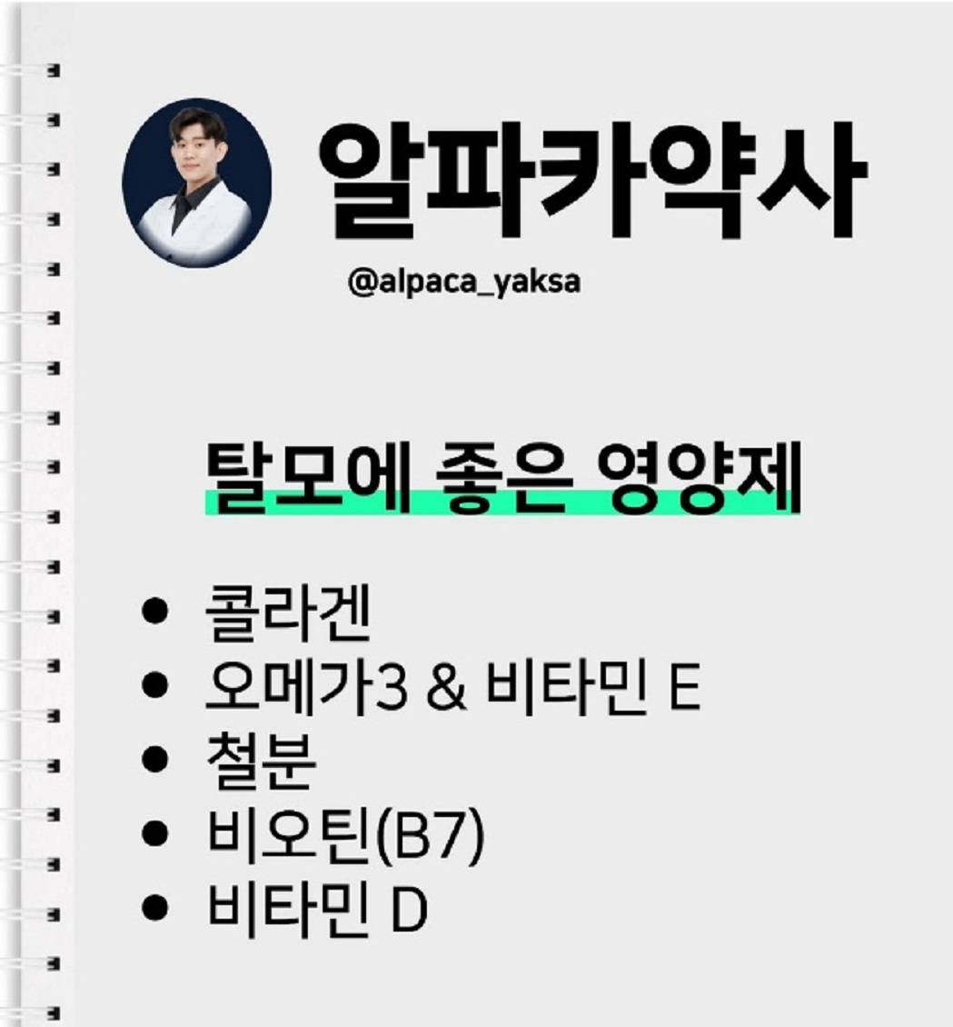 알파카약사