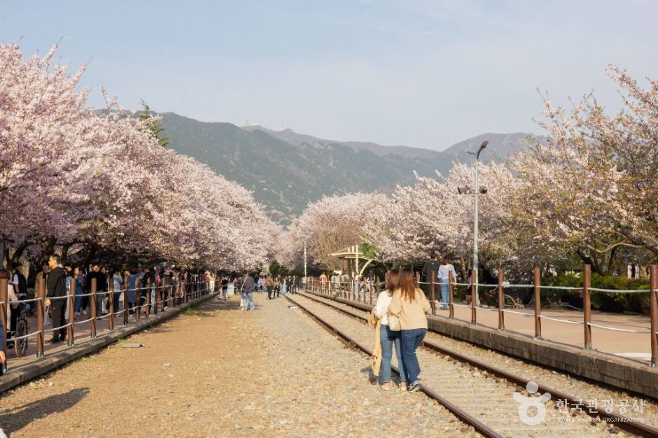 '경화역'
