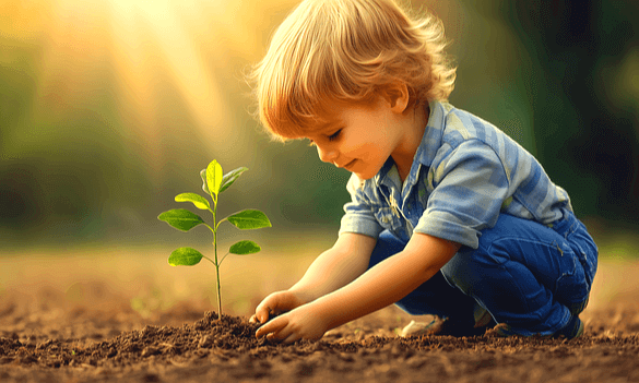 금발의 백인 남자아이가 웅크리고 앉아 땅에 작은 나무를 심고 있다.
