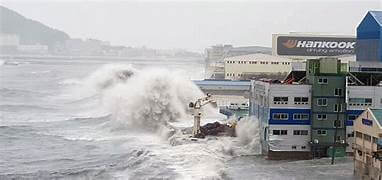 자연재해 재난 지원금 신청방법 