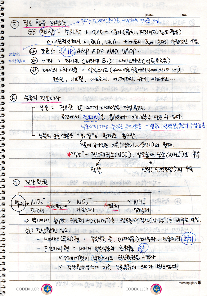 질소대사&#44; 질산환원