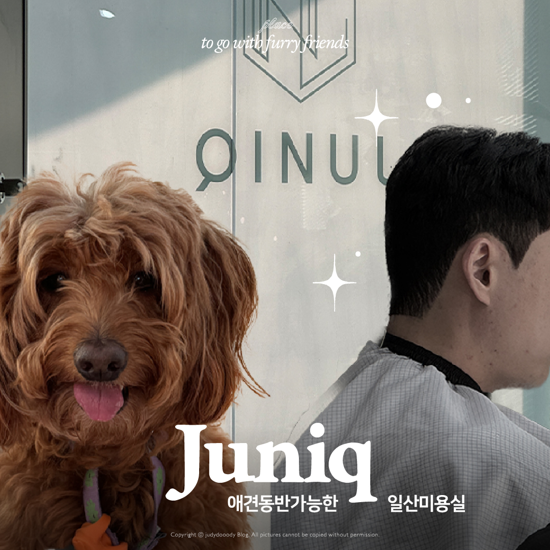 미용실리뷰 썸네일