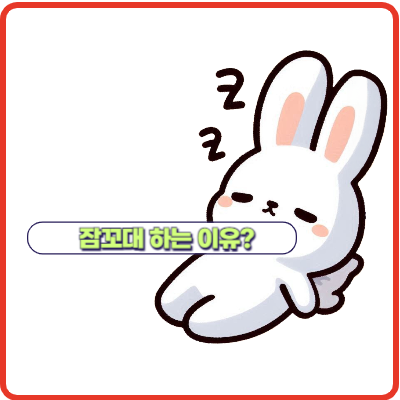 잠꼬대 하는 이유 vs 안하는 법