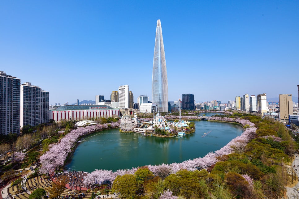 서울 벚꽃 여행 가이드 ❘ 도심 속 벚꽃 명소, 여의도 윤중로 &amp; 석촌호수