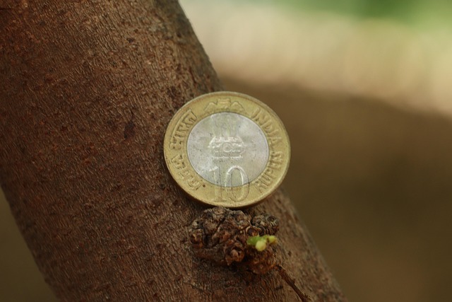 토스뱅크 비상금대출 7