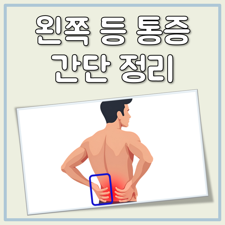 왼쪽 등 통증 대표 이미지