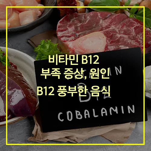 비타민 B12 부족 증상 원인 썸네일