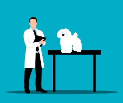 동물병원 진료비&amp;#44; 이젠 투명하게&hellip;8월부터 동물병원 진료비 공개 의무화!